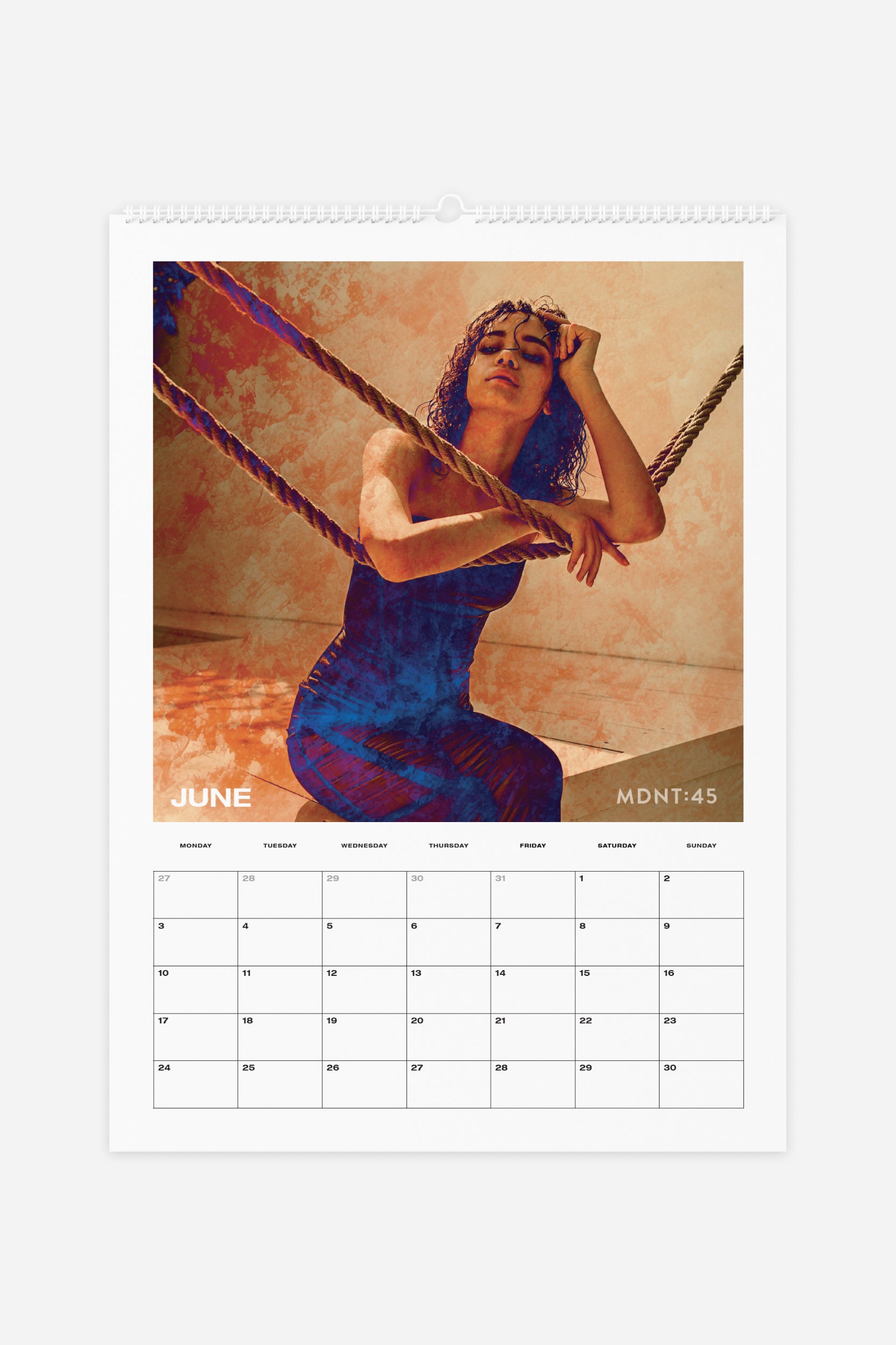 Printed Midnight Muses 2024 Calendar